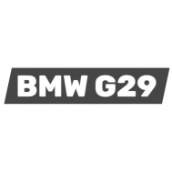BMW G29