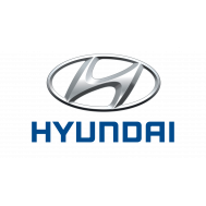 Кузовные детали (Hyundai)