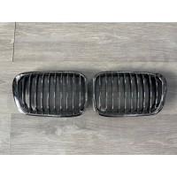 Ноздри "М3" (BMW E46 sed dorest)