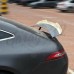 Спойлер "MAXTON" (Mercedes-Benz GT X290) 
