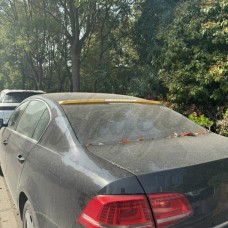 Козырёк на заднее стекло "M4" (Volkswagen Passat B7)