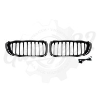 Решётка радиатора "LED Greel" (BMW 4 серии F32 / F33 / F36)