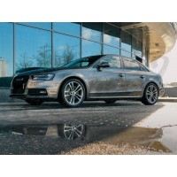 Задние пружины -30мм "TR" (Audi A4 B8)