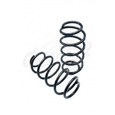 Передние пружины +20мм (Skoda Octavia A5)
