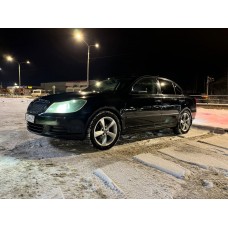 Передние пружины -50мм "TR" (Skoda Octavia A5)