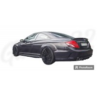 Накладки на пороги в стиле "PRIOR DESIGN" (Mercedes CL-Class W216)