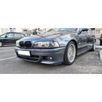 Решётки радиатора "F-Style" (BMW E39)