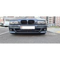 Решётки радиатора "F-Style" (BMW E39)