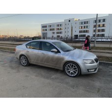 Задние пружины (многорычажка) -50мм "TR" (Skoda Octavia A7 1,8tsi)