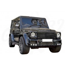 Решетка радиатора "BR style GV-12" (Mercedes G-Klasse W463)