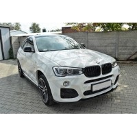 Комплект элеронов "M-Sport" (BMW X4 F26)