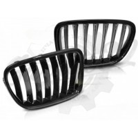 Решетки радиатора "Black Glass" (BMW X1 E84 2012–2014)