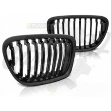 Решетки радиатора "Black Glass" (BMW X1 E84 2009–2012)