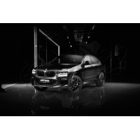 Обвес "Larte Performance" (BMW X4 G02 2018-2021 )