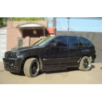 Накладки на пороги "TARANTUL" (BMW X5 E53)