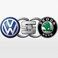 Поршни VAG (Audi, Skoda, VolksWagen)