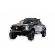 F-150
